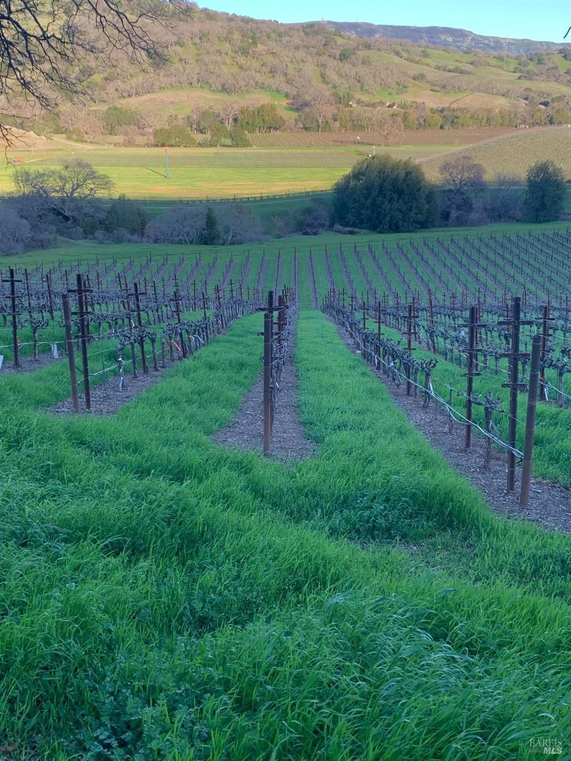Single Family 3BR 3BA - 4060 Monticello Road, Napa, CA