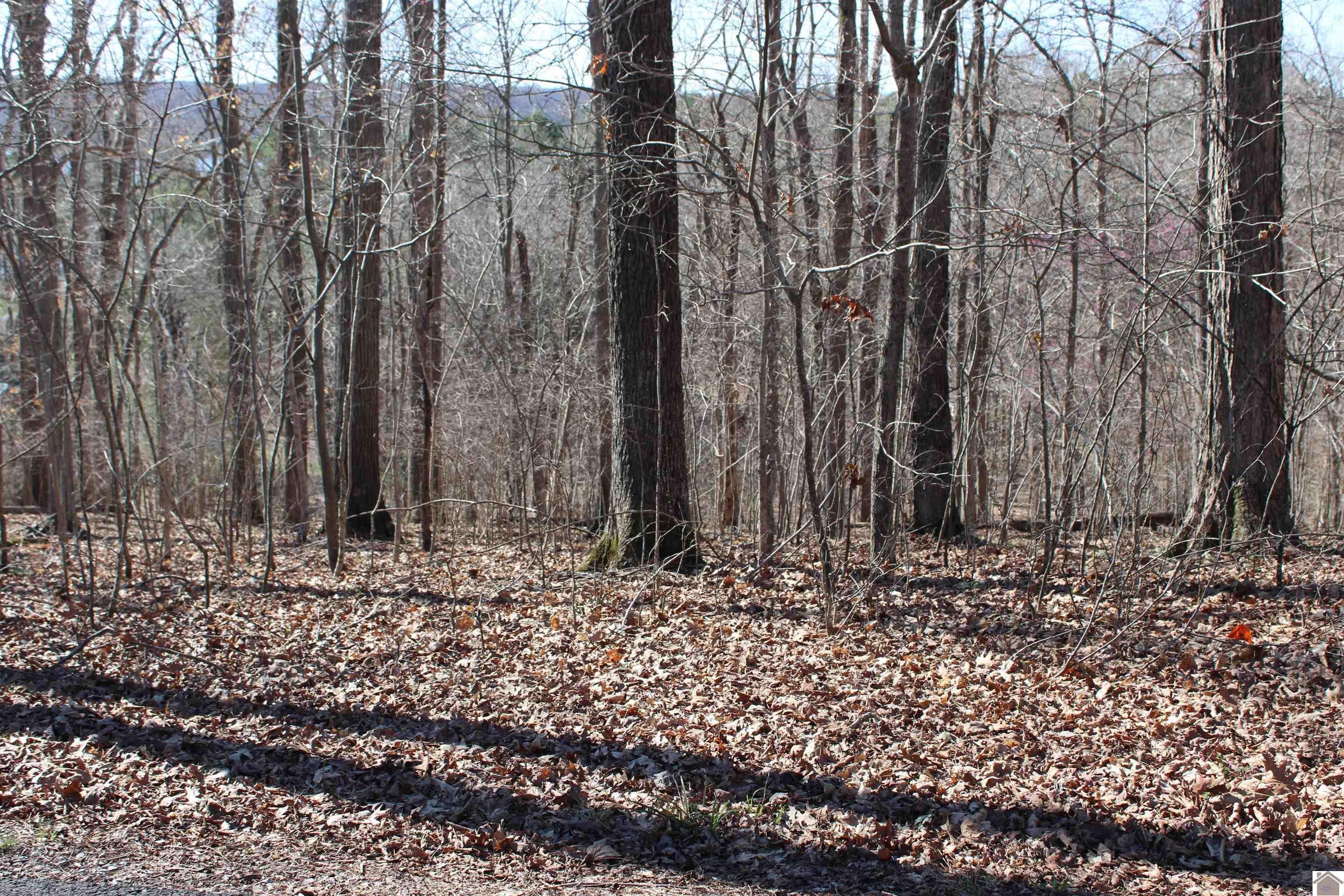 Other - Lisanby Road lot: 44/45, Eddyville, KY