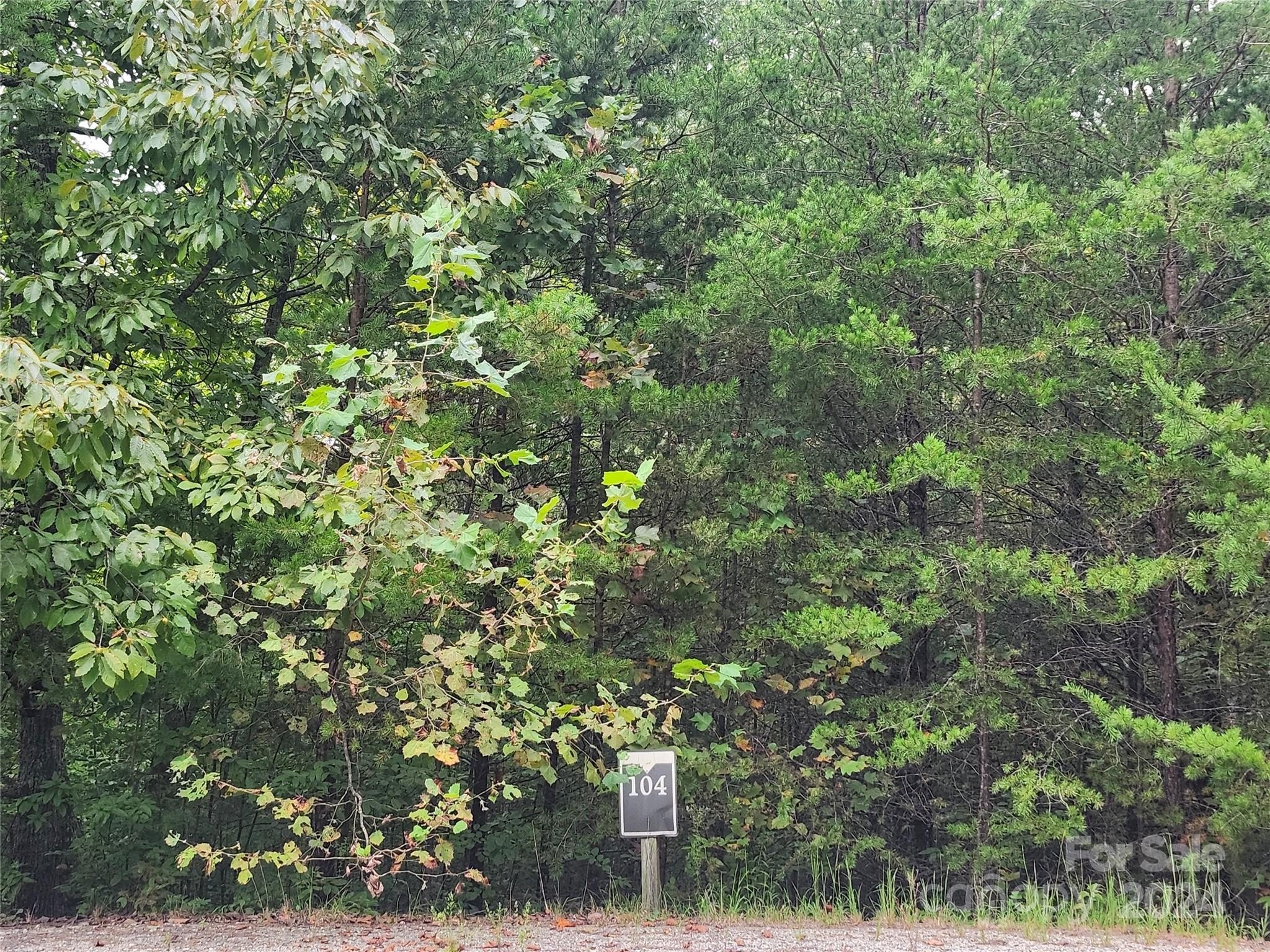 Other - Boysenberry Drive lot: 104, Nebo, NC