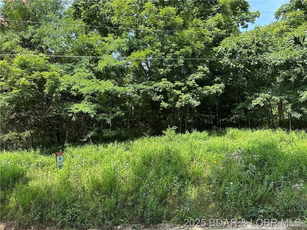 Other - LOT 7R Lick Creek Road, Edwards, MO