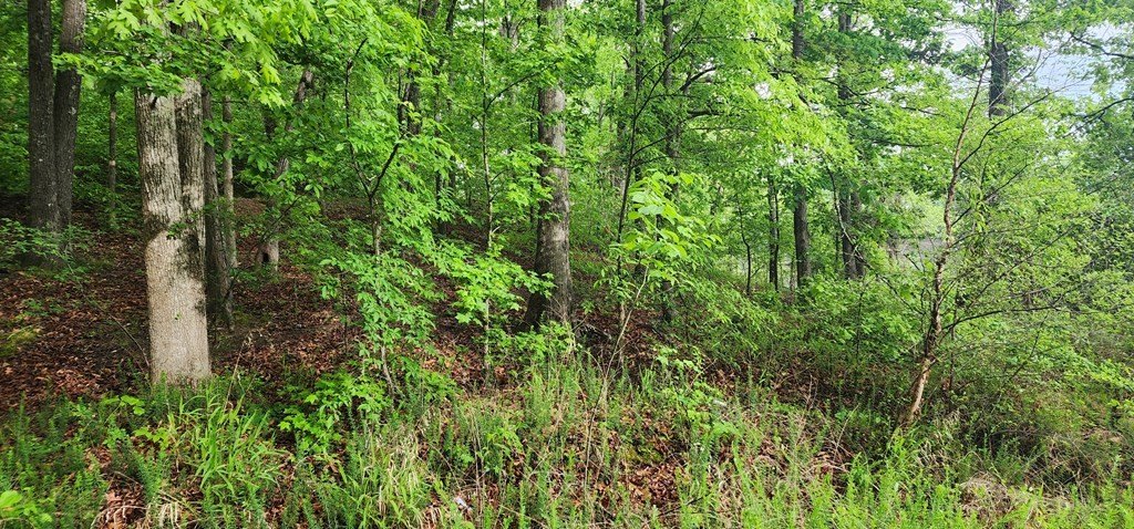 Single Family - 163 Davis N Lake Rd, CAMDEN, TN