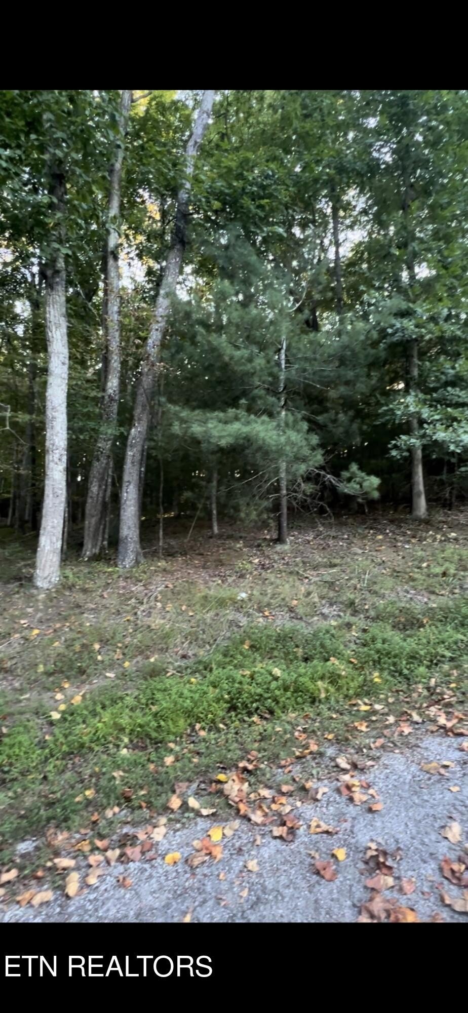 Other - 163 Lynhurst Drive, Crossville, TN