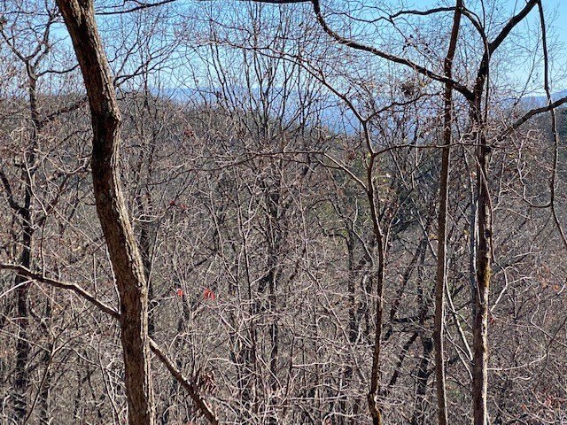 Other - 5.91 Ac Sunrock Mtn Trace, Blue Ridge, GA