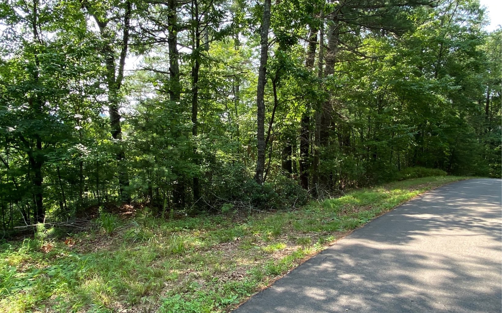 Other - Lot 645 Wedowee Ct (Lot 645), Ellijay, GA