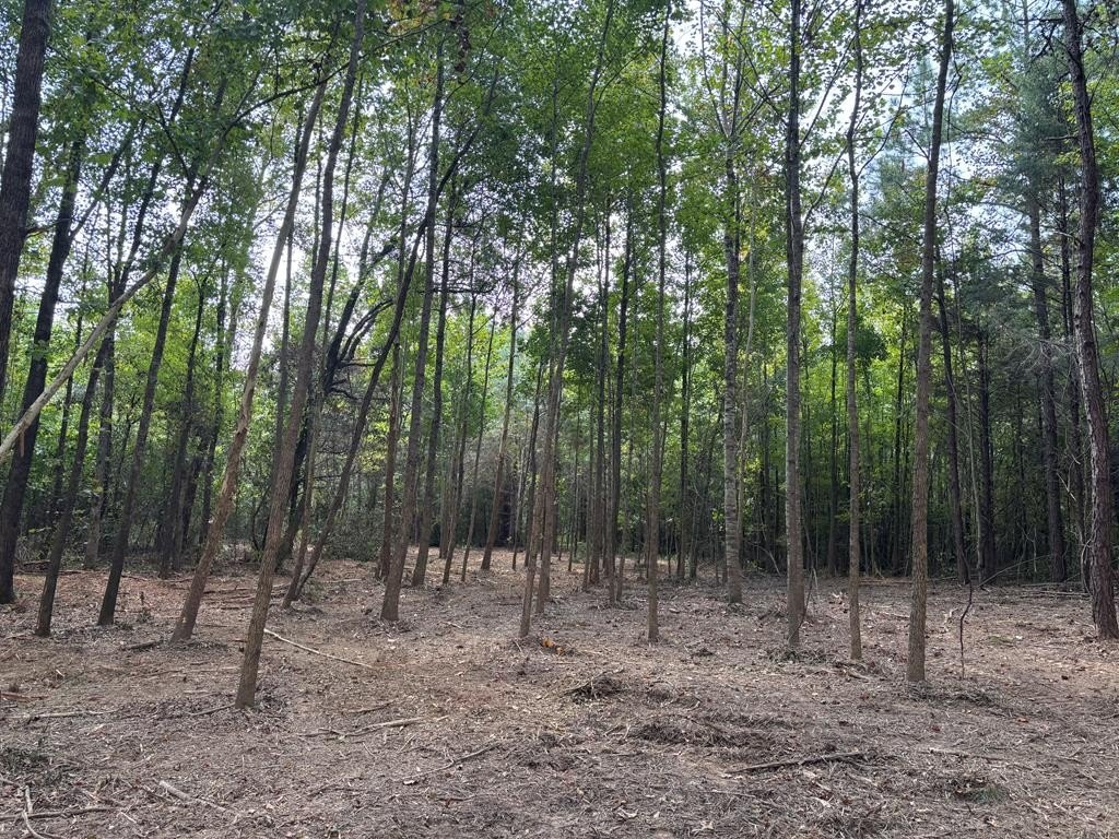 Other - HWY 346, Thaxton, MS