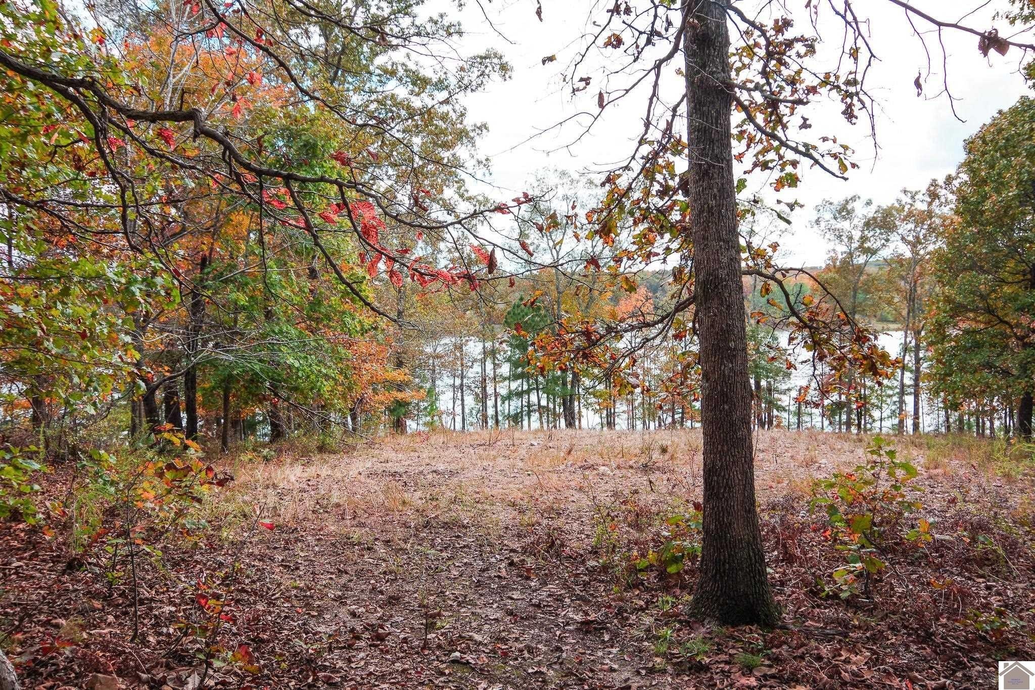 Other - Lot 67 Hillsdale Ln., New Concord, KY