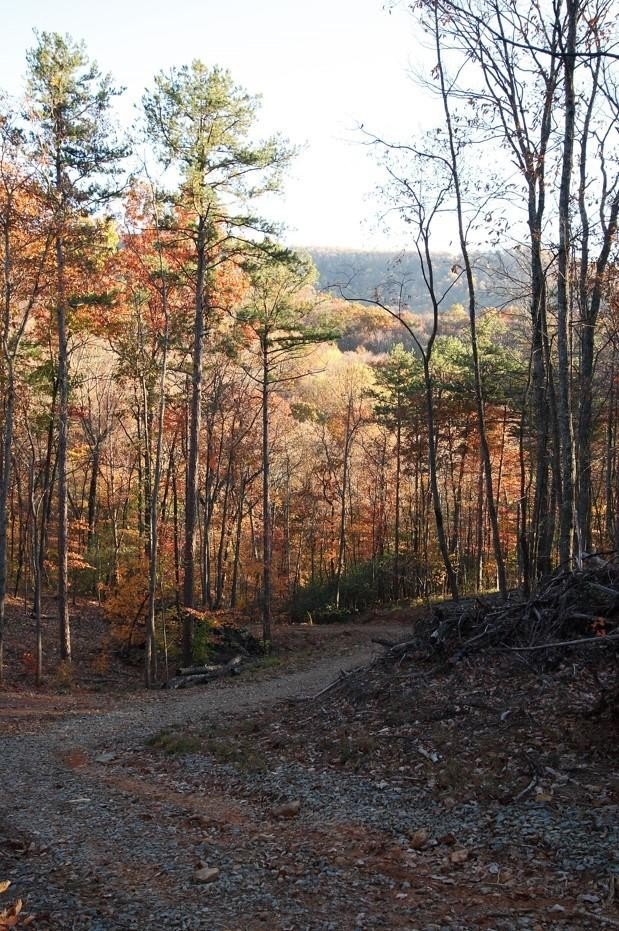 Other - Lt 29a/B Paradise Lane, Ellijay, GA