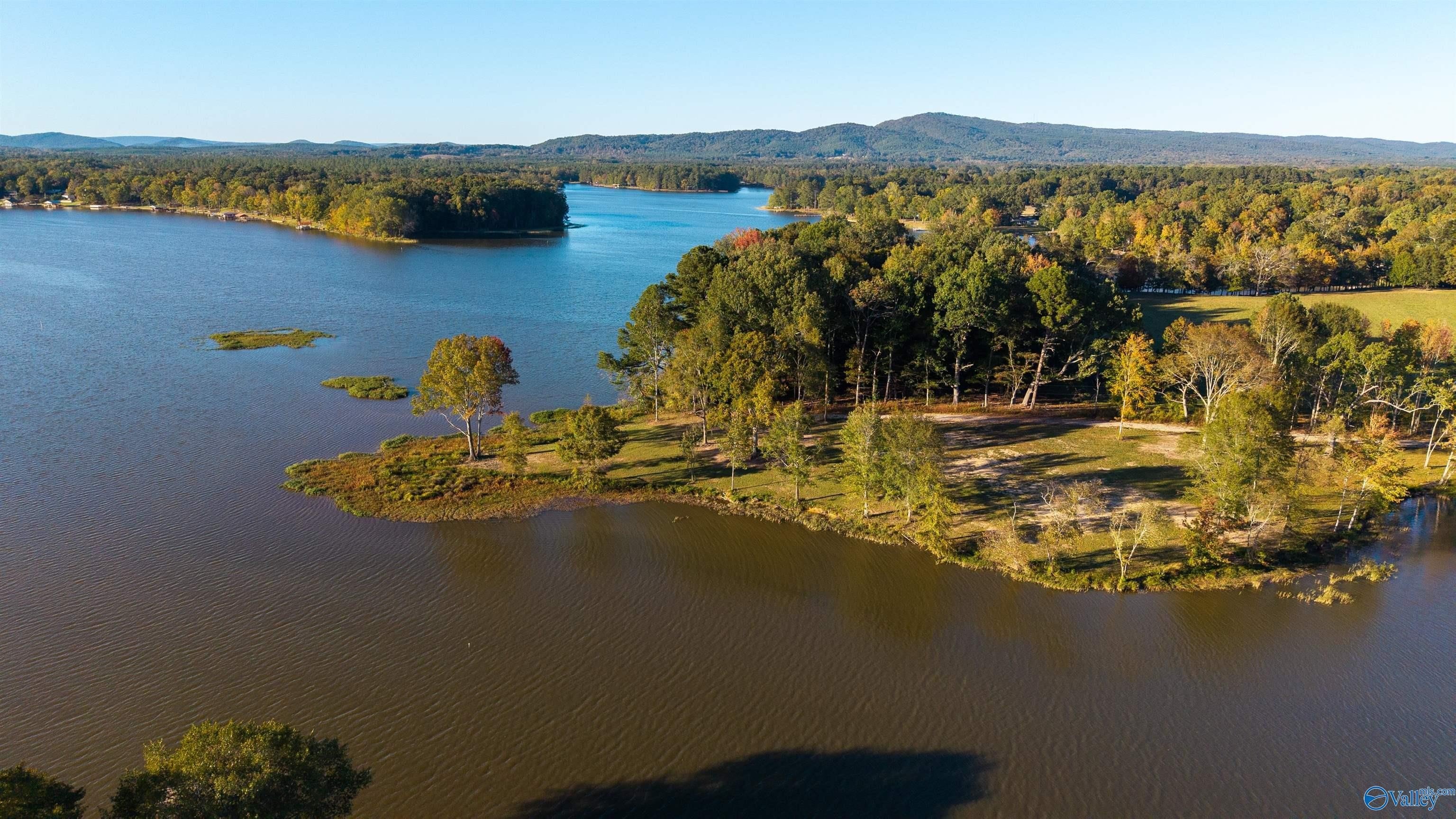 Other - County Road 115 lot: 30, Cedar Bluff, AL