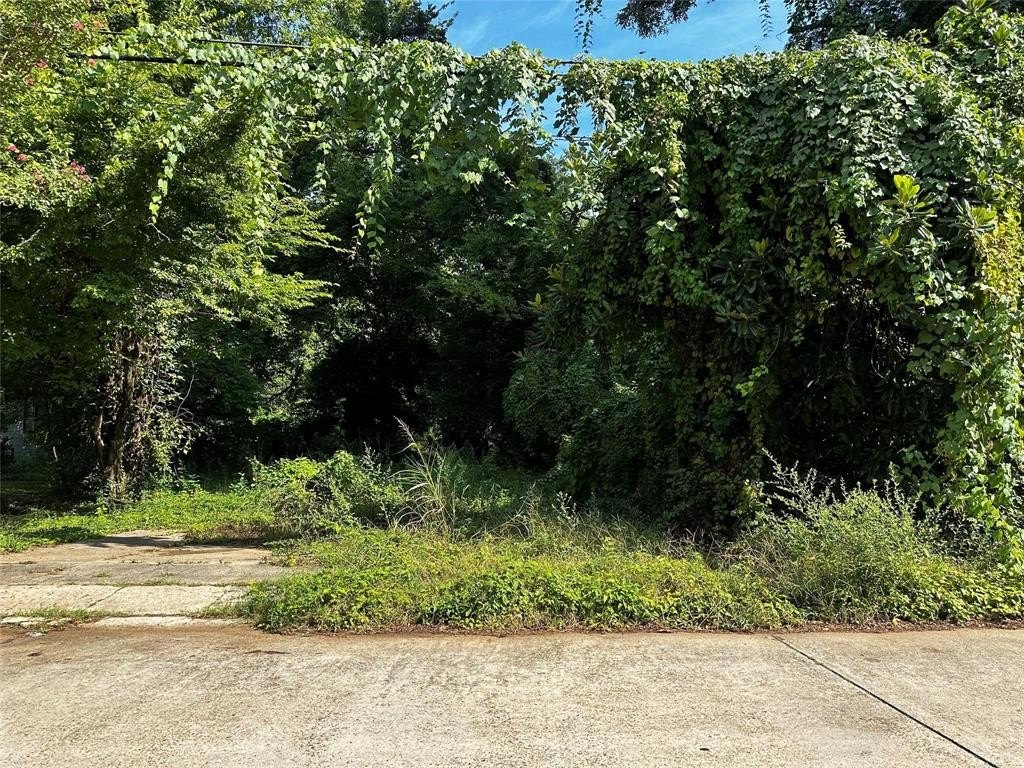 Other - 132 E Gregg Street, Shreveport, LA