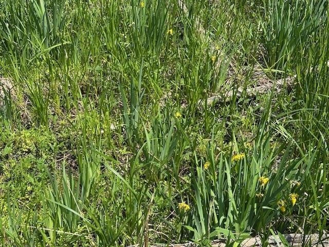 Other - Lot 60 Lakeside Drive, Edgerton, WI