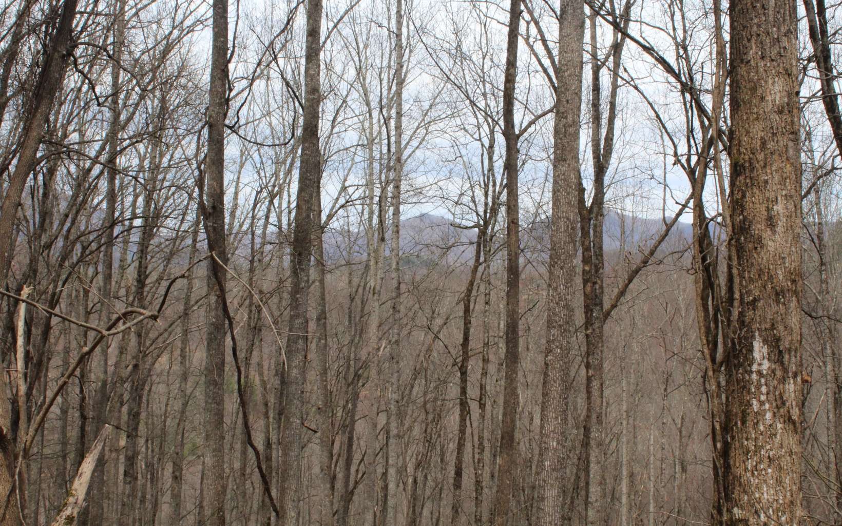 Other - 1&1A N Ridge High Meadows lot: 1 & 1A, Hayesville, NC