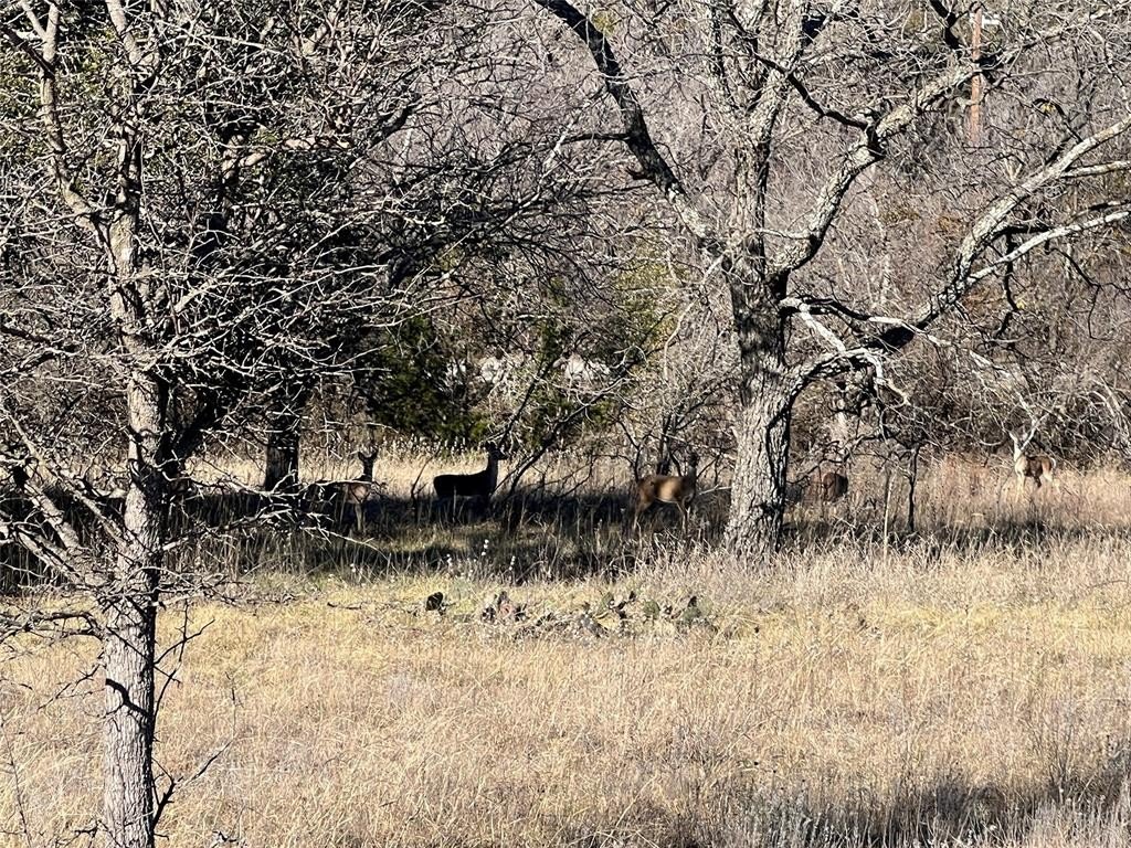 Lot 7 8 Lake Pt Rd  