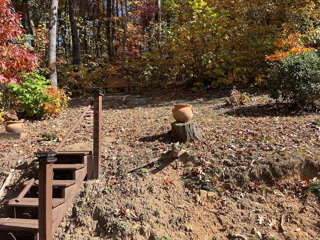 Other - Lot 9 Black Bear Trail, Hiawassee, GA