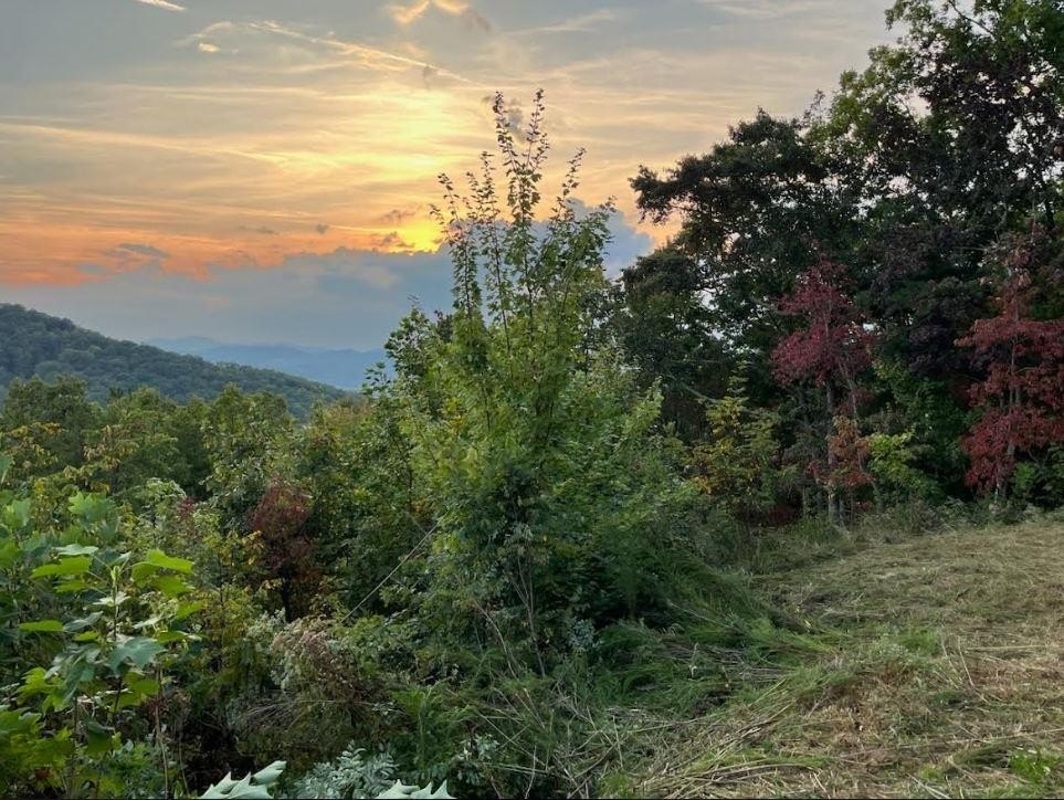 Other - Lot 14 Bell Lake View, Hayesville, NC