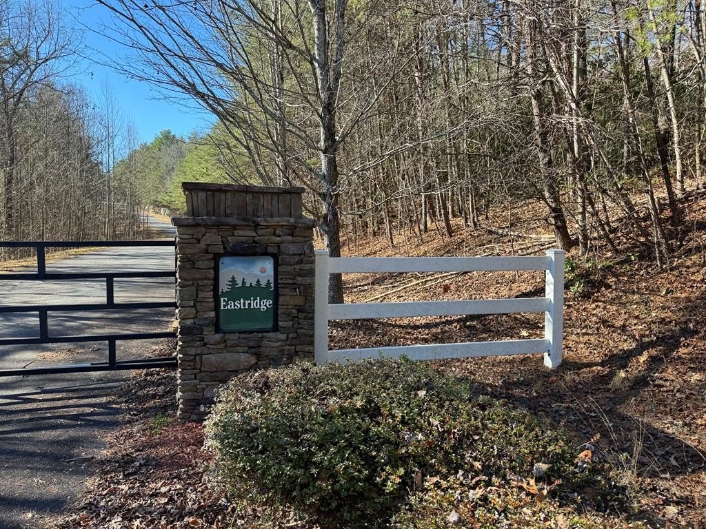 Other - Lot 33 East Ridge Lane, Ellijay, GA
