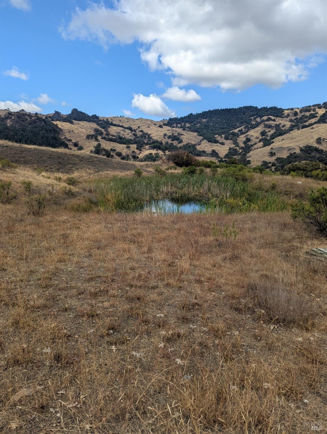 Other - 59002 George Washington Rock Road, Leggett, CA
