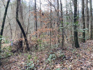 Other - 53 Llama Lane, Ellijay, GA