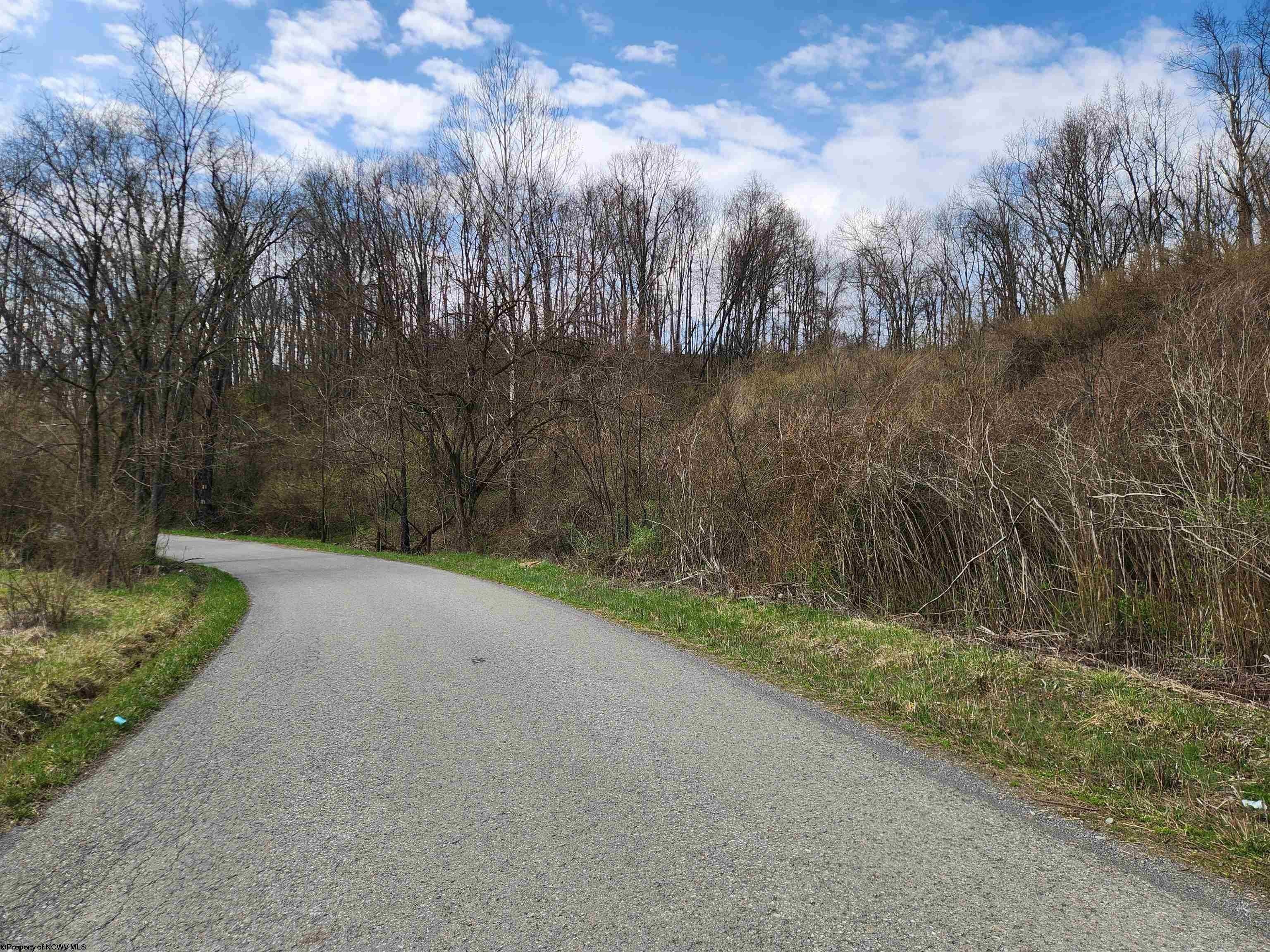 Other - TBD Buffalo Creek Road, Lost Creek, WV