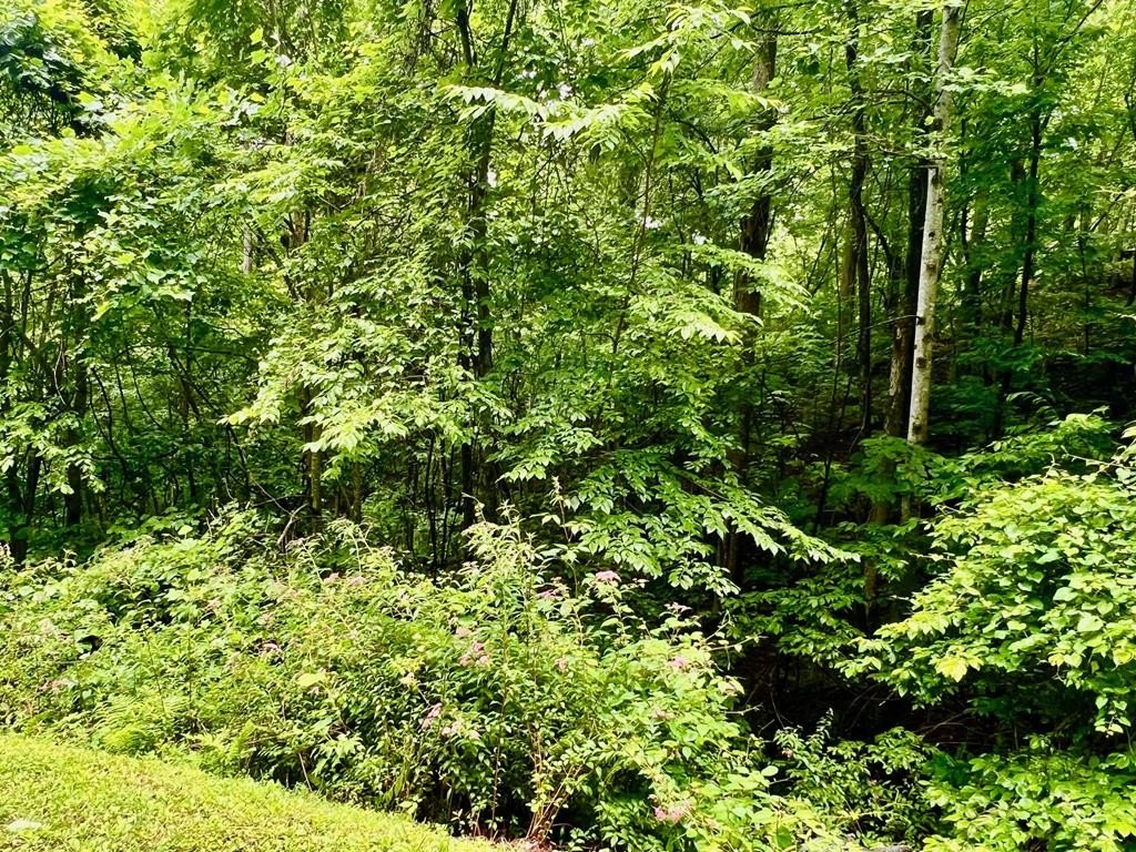 Other - 8 Black Bear Trail lot: 8, Hiawassee, GA
