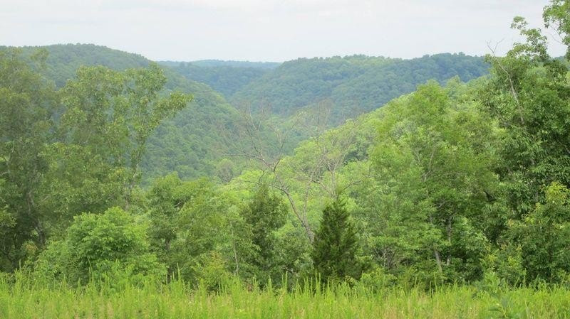 Other - 11071 River Drive lot: 81, Crawford, TN