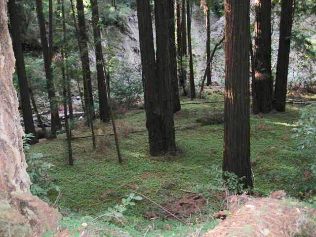 Plots and Land - 00 Slate Creek Road, La Honda, CA