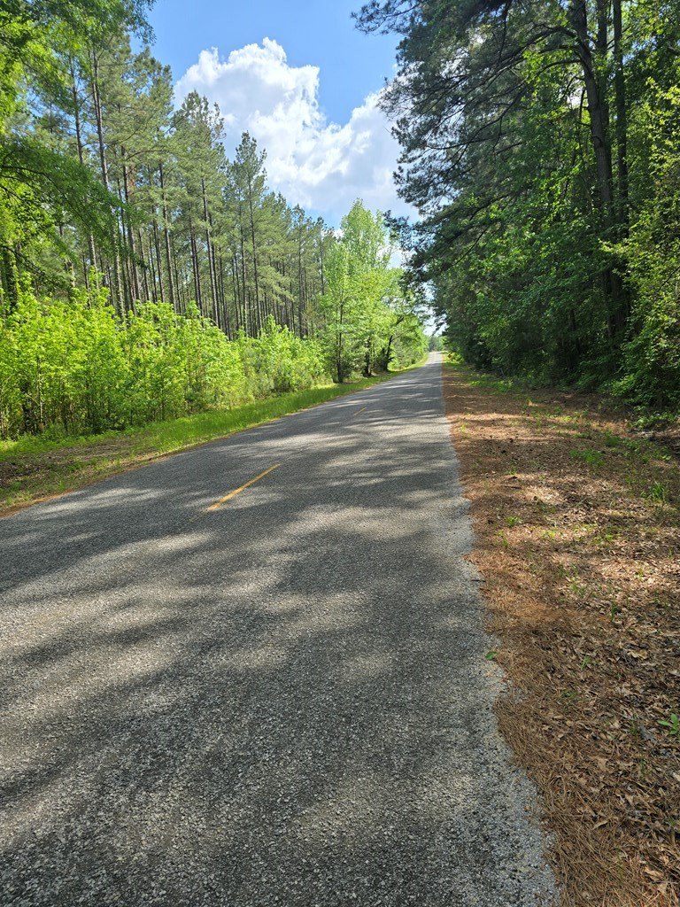 279 County Rd 53  