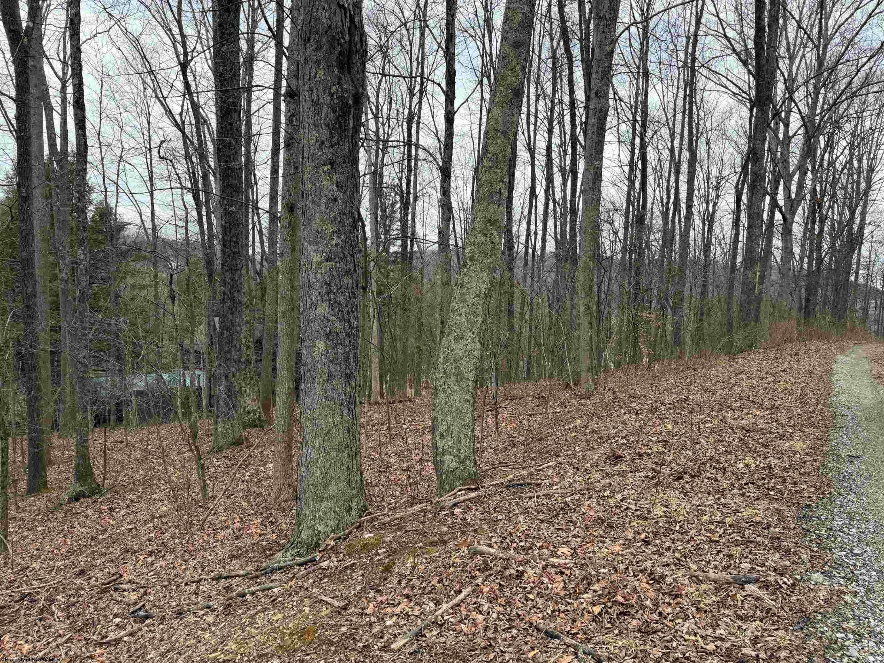 Other - TBD Elliott Avenue, Belington, WV