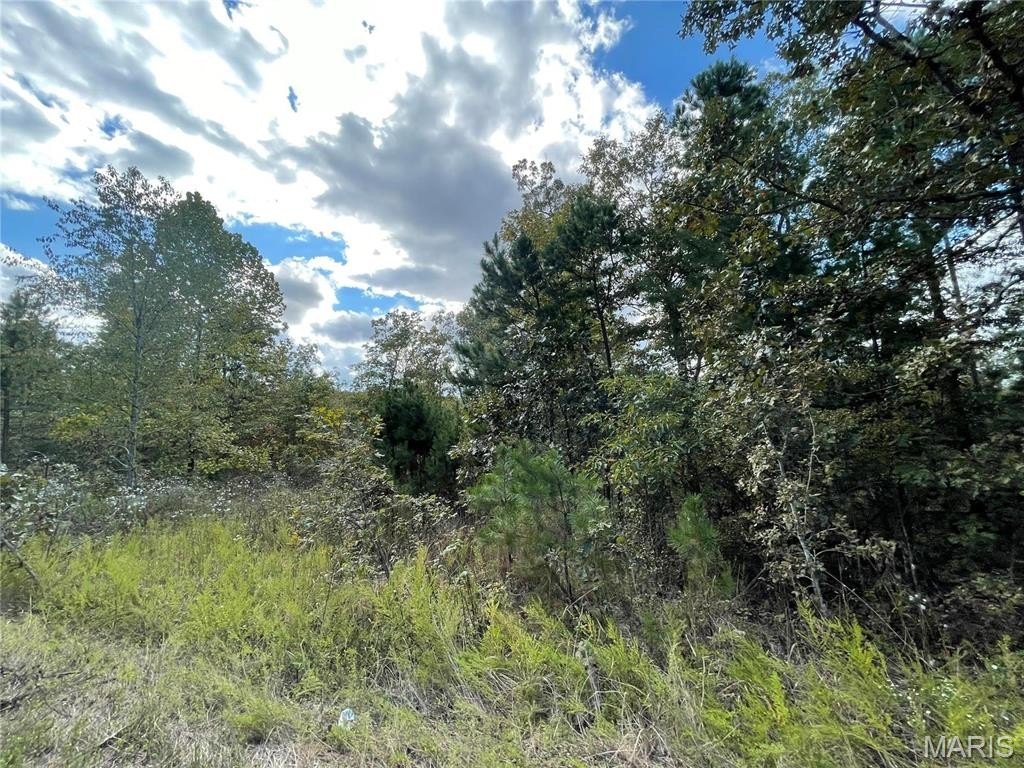 Other - 13 Woodland Heights W, Poplar Bluff, MO