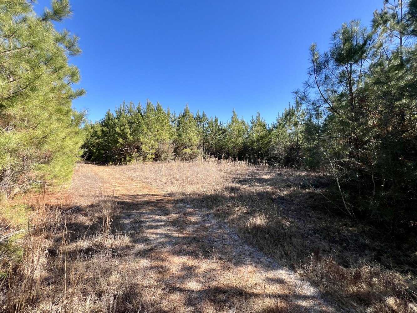 Other - Ararat Rd, Toxey, AL