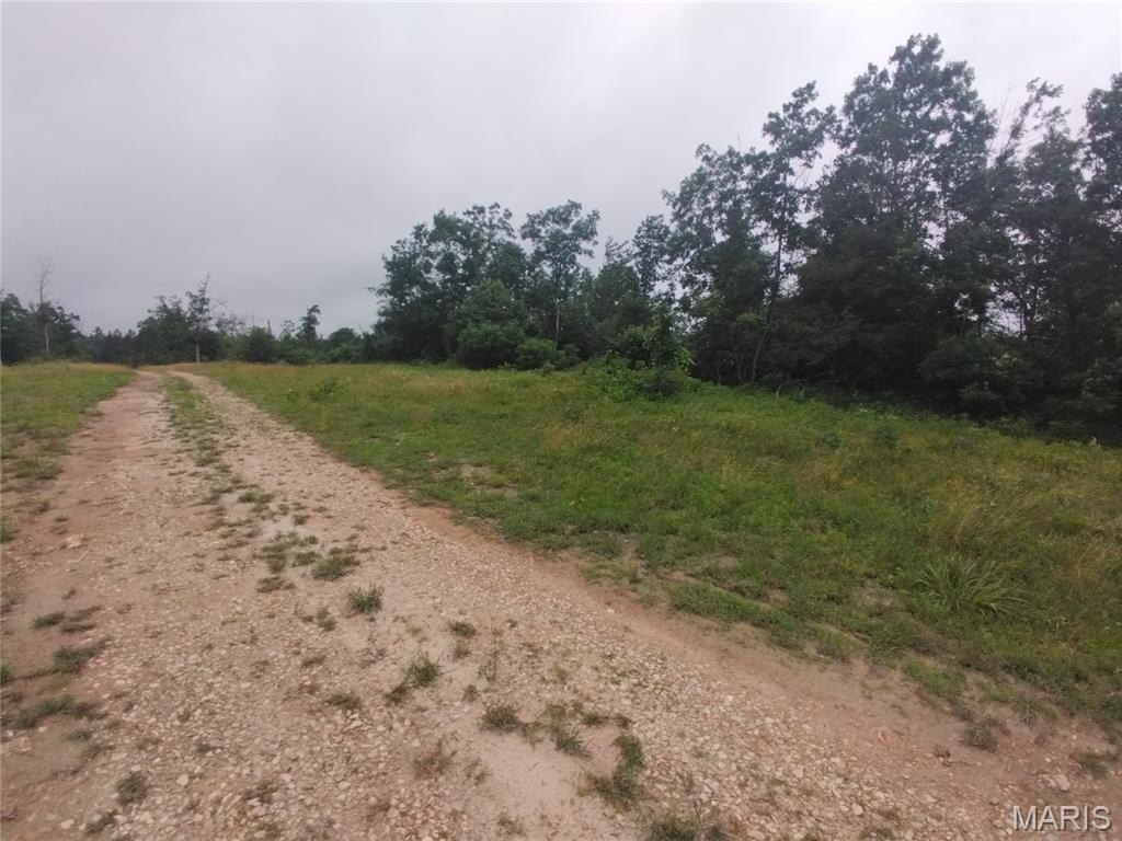 Other - 9 Tract 9 Off Highway O, Belleview, MO