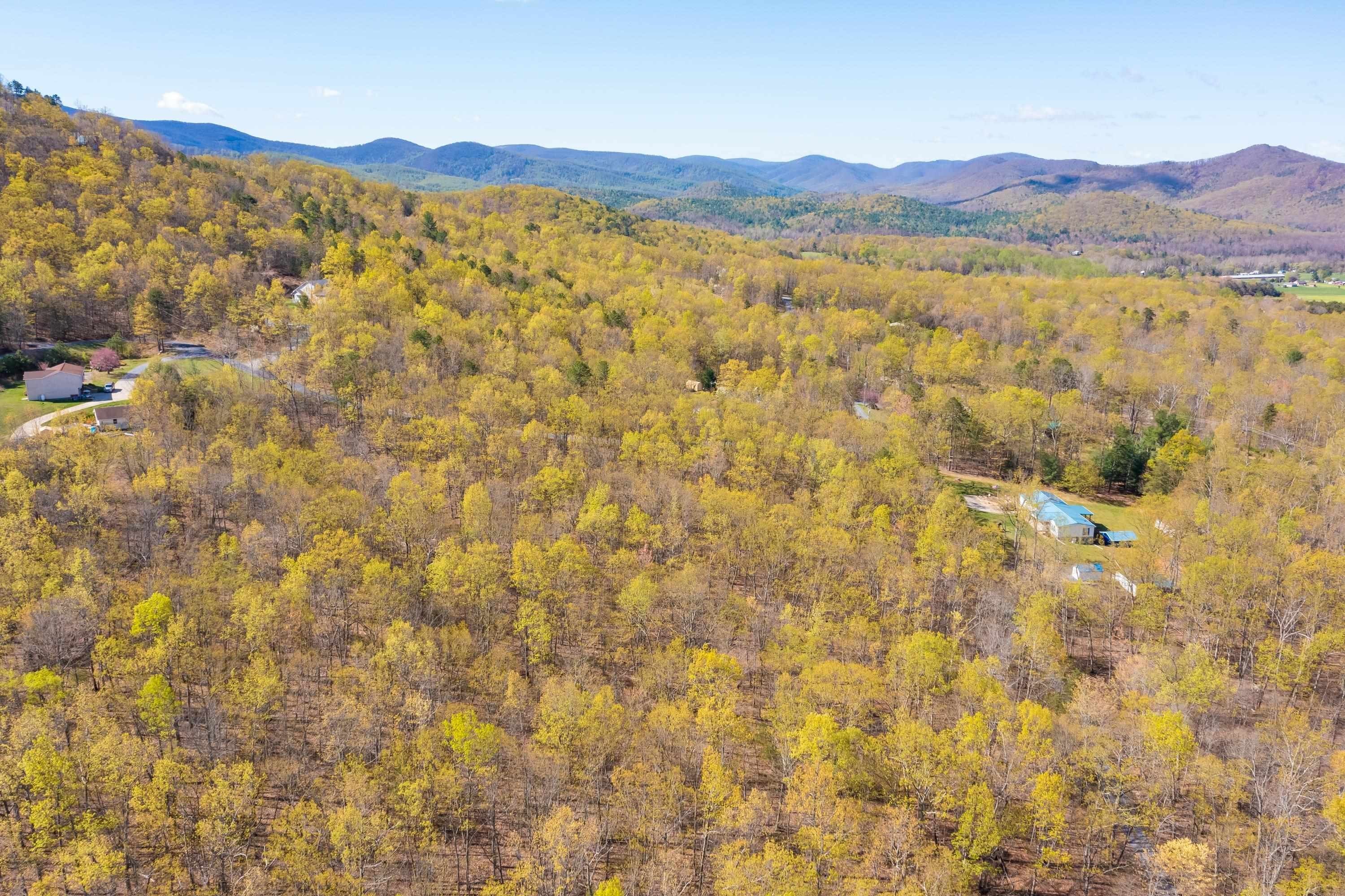 Single Family - TBD DOVE LANDING DR, ELKTON, VA