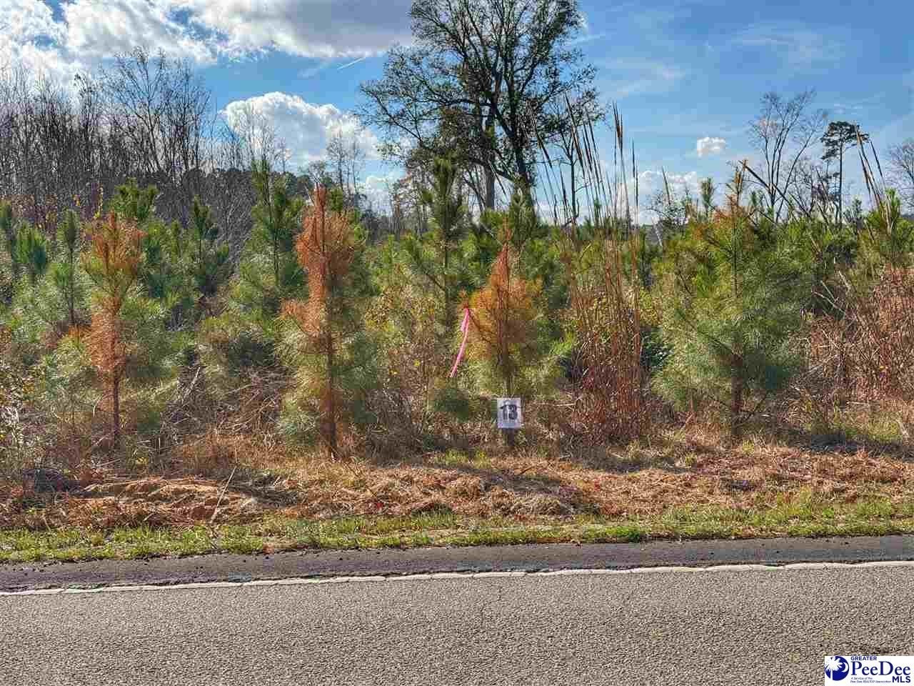 Other - E Academy Street Ext. lot: 13, Latta, SC