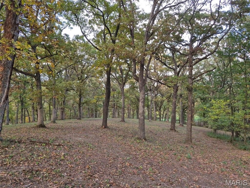 Plots and Land - 0 Highway D - Tract 5a (14+/- Acres), Eolia, MO