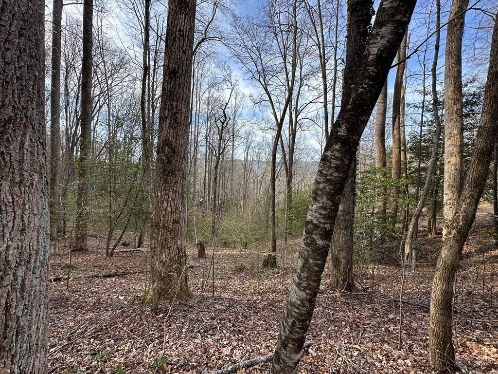 Other 1BR 2BA - 440 Holly Falls Lane, Sylva, NC
