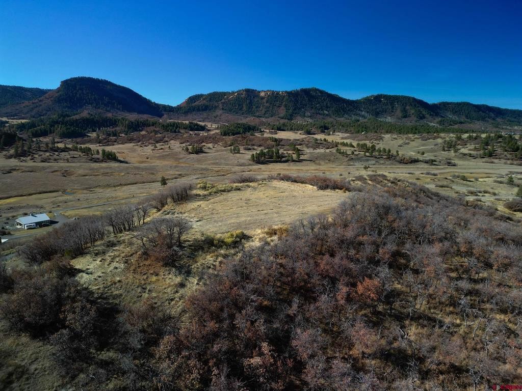 Single Family - 558 Henry's Lake Drive, Pagosa Springs, CO