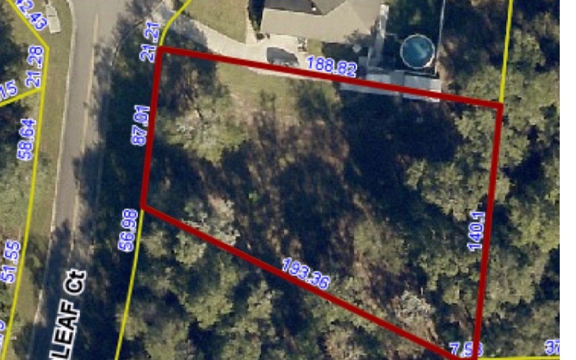 Single Family - 119 SW WOODLEAF CT, Lake City, FL