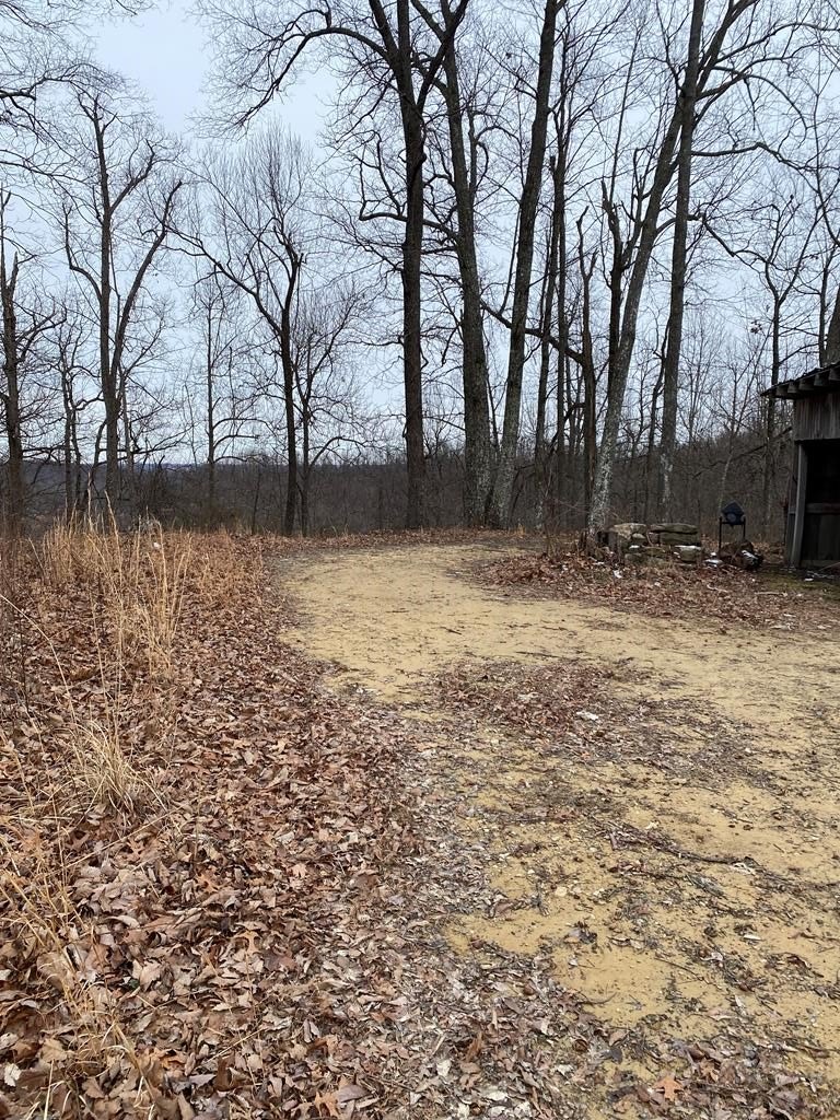 Other - 0 Alsept Fork Road (Map #: 009-00-00-006.01), Salyersville, KY