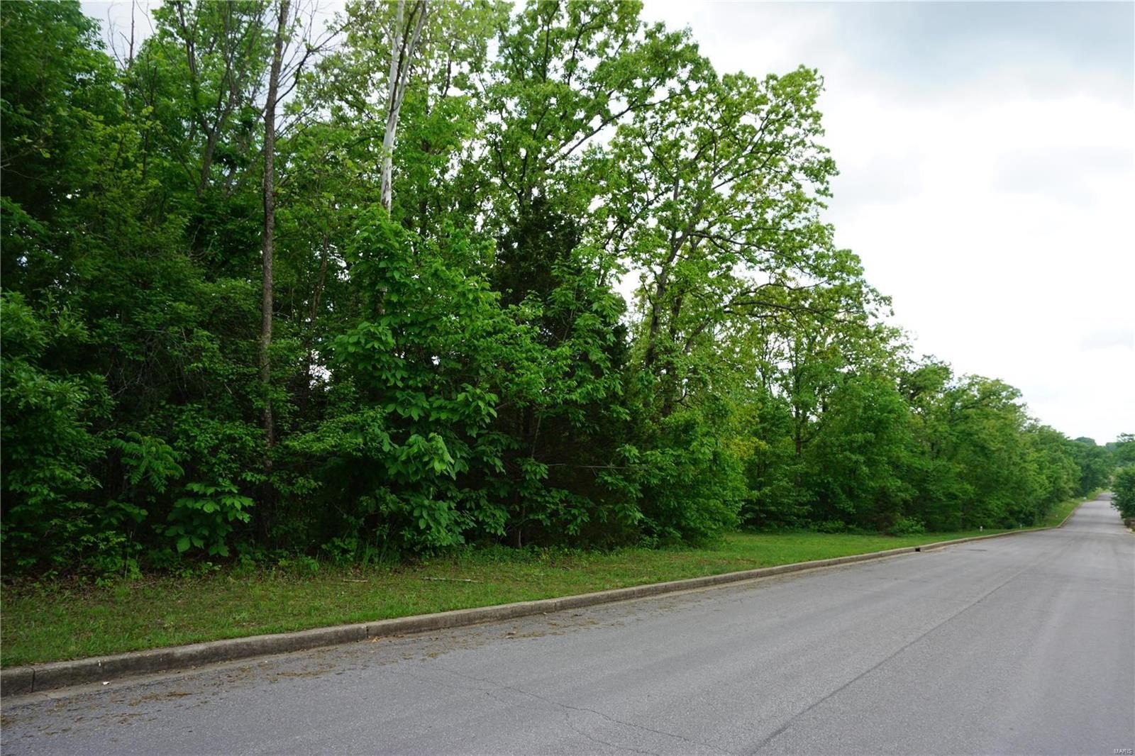 Other - 0 Columbia Avenue Lot 21, Rolla, MO