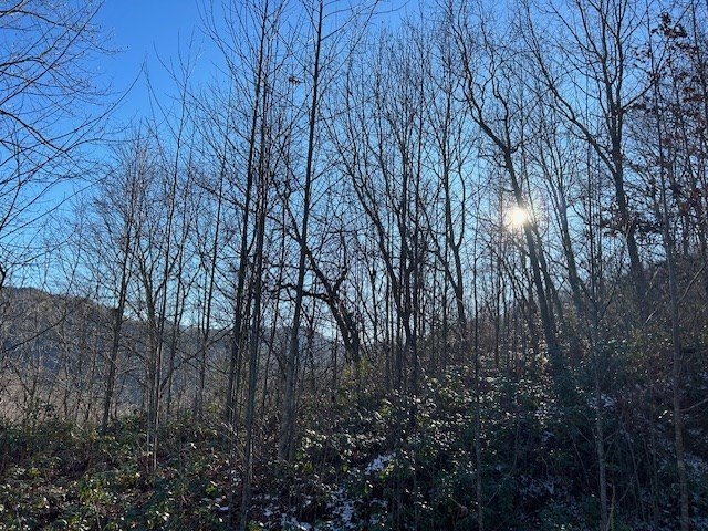 Other - Long Creek Preserve lot: 27, Bryson City, NC