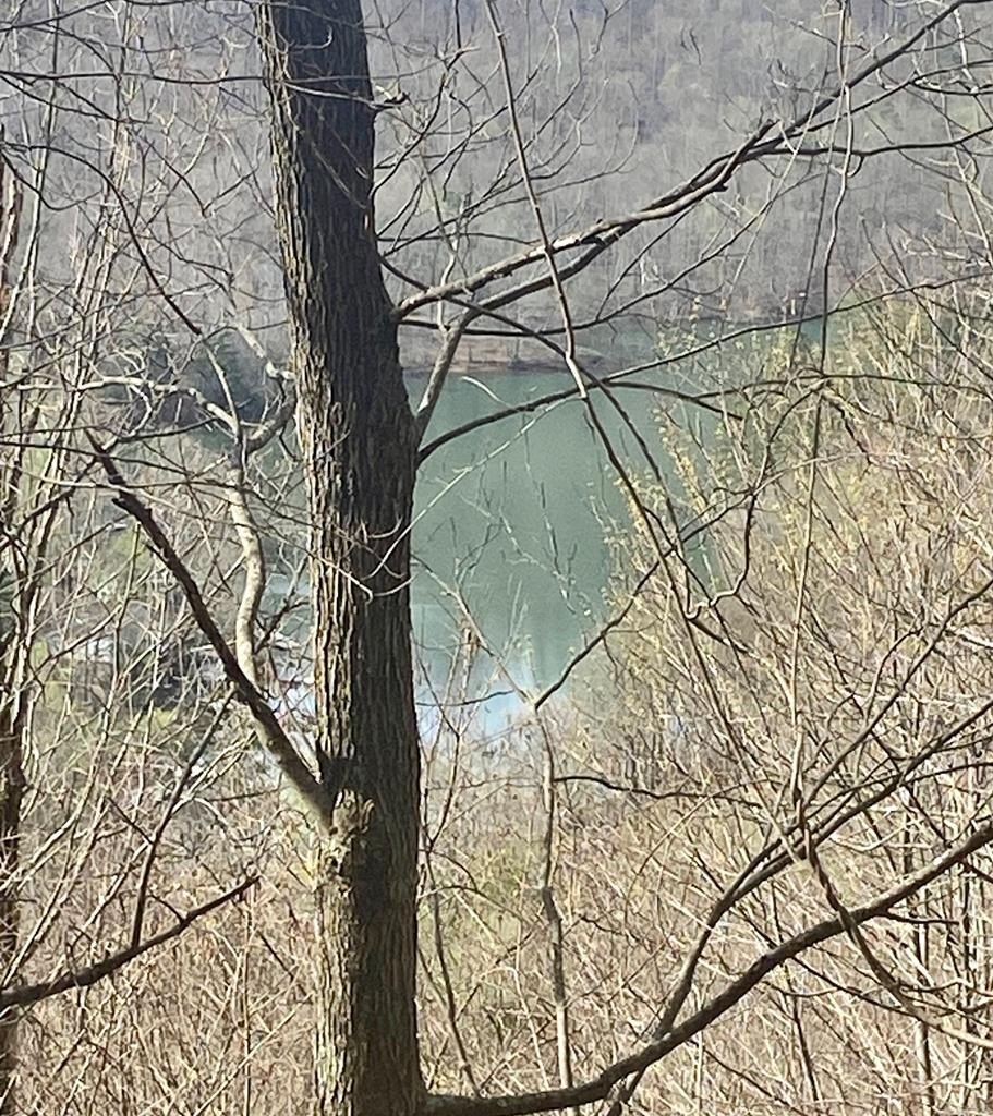Other - 26 Hidden Falls Trail, ROBBINSVILLE, NC
