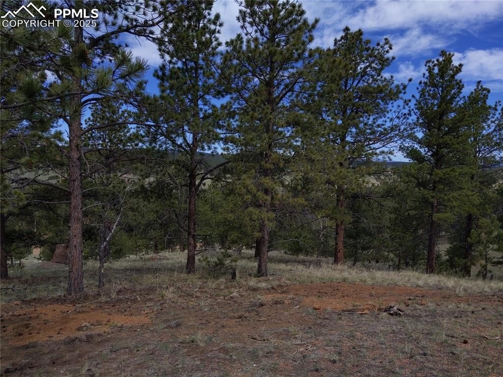 Other - 28 Pinnacle Circle, Florissant, CO