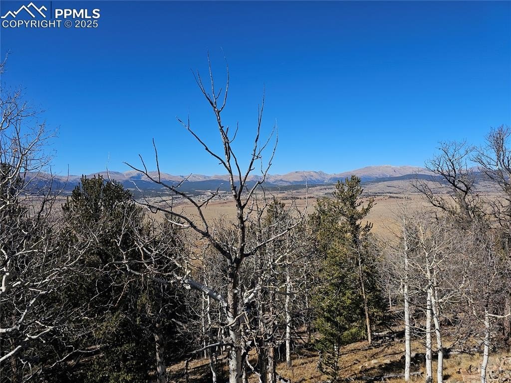 Other - 5585 Middle Fork Vista, Fairplay, CO