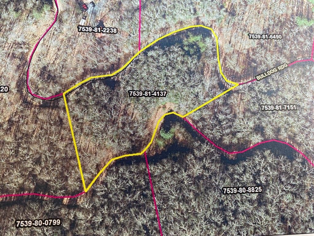 Other - Mountain Forest Estates lot: 67, Sylva, NC