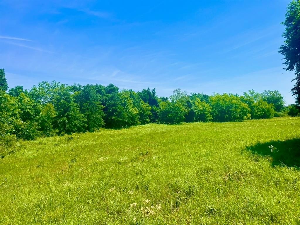 Plots and Land - Lot 103 Arlow Road, Poolville, TX