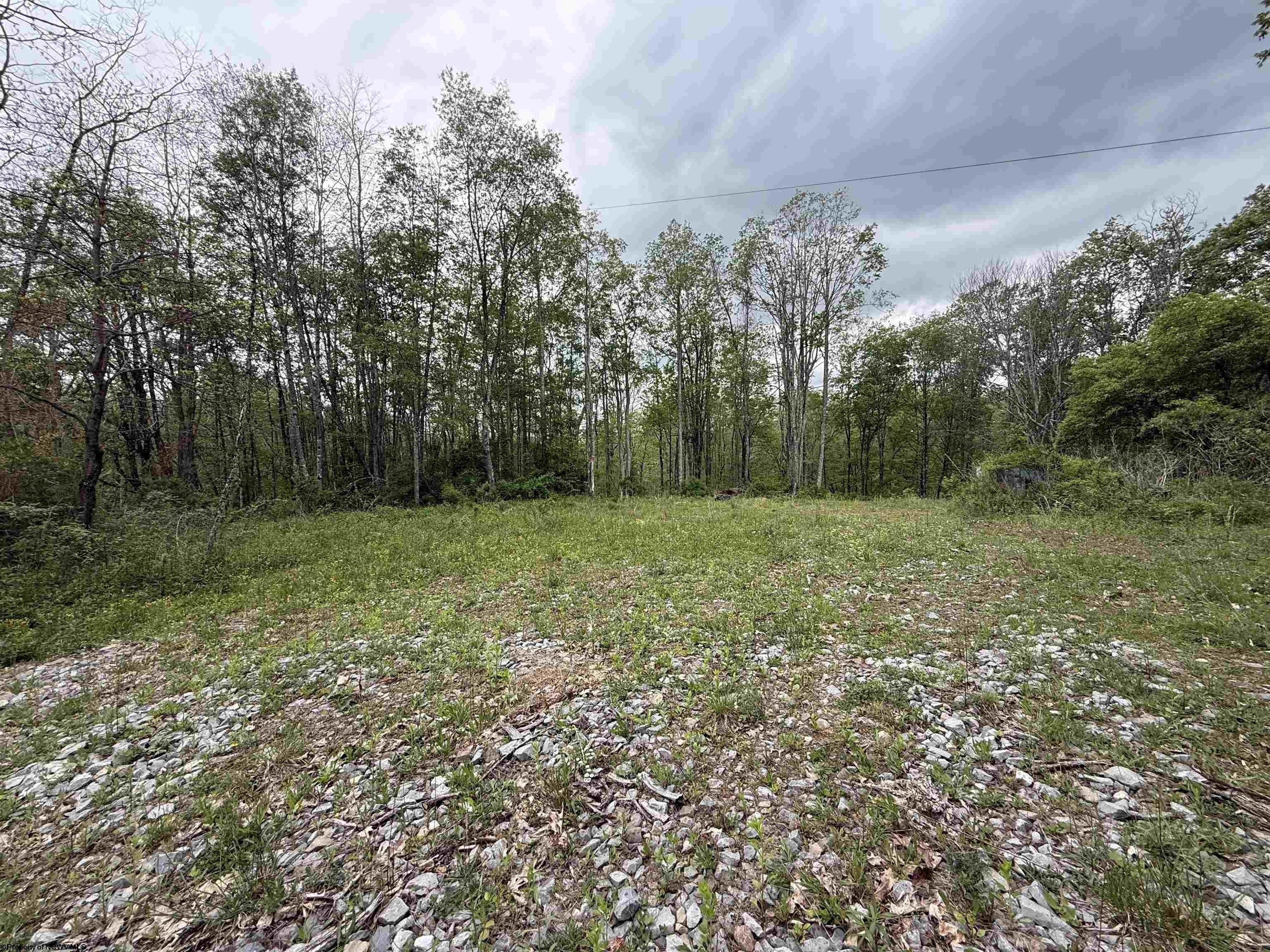 Plots and Land - 1154 Brady Gate Road, Valley Head, WV