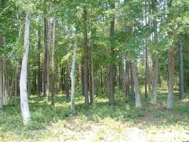 Other - Luck Ave. lot: 7, Little River, SC
