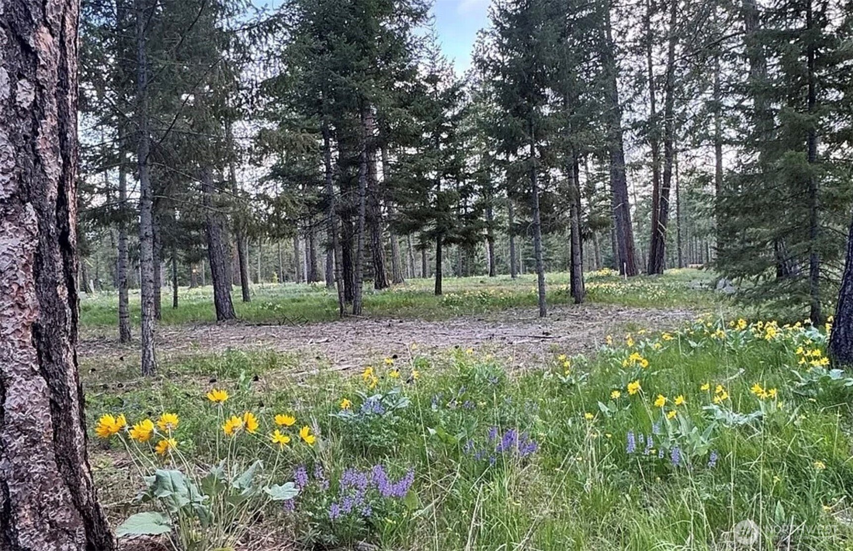 Other - 331 Wanawish Loop, Cle Elum, WA