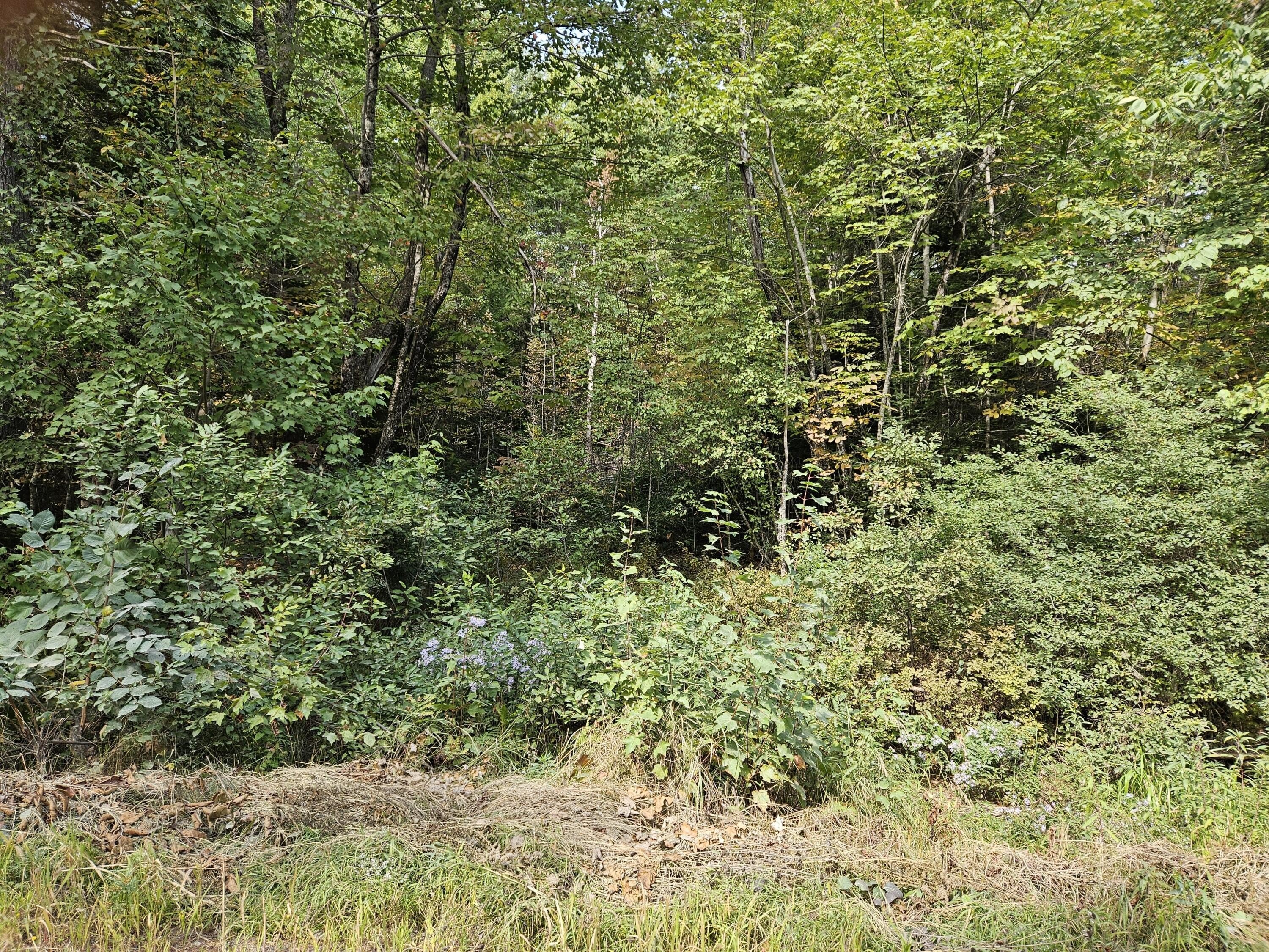 Other - McCorrison Road lot: 11.2, Orneville Twp, ME