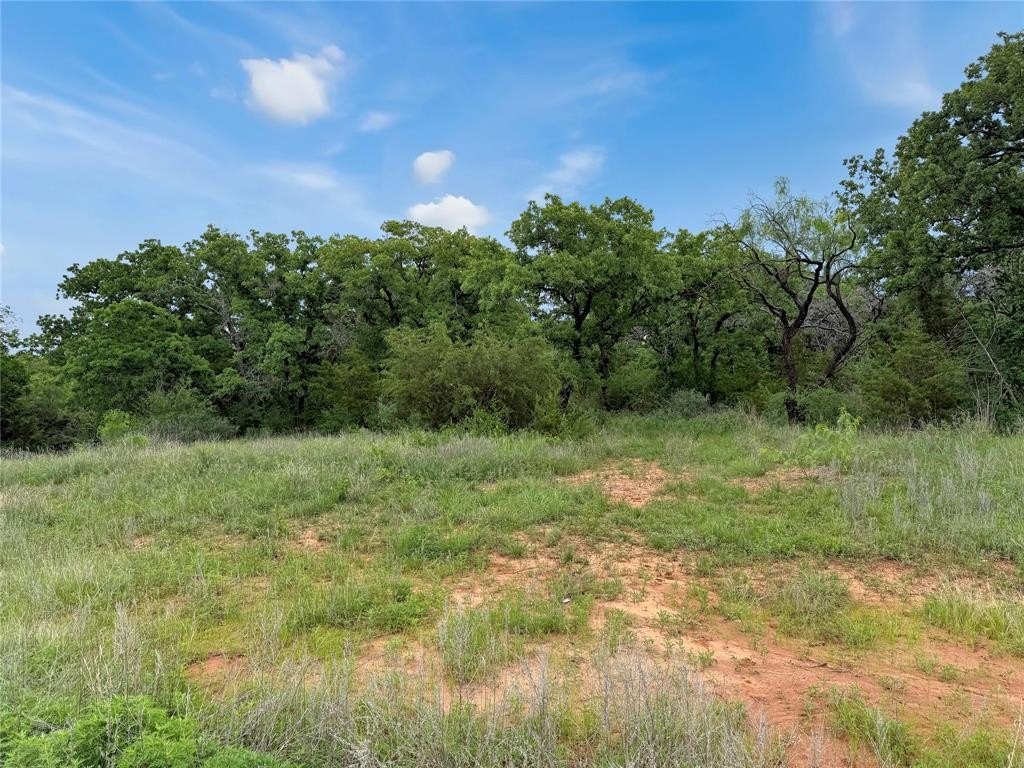 Single Family - Tbd Hoahway Drive, Mingus, TX