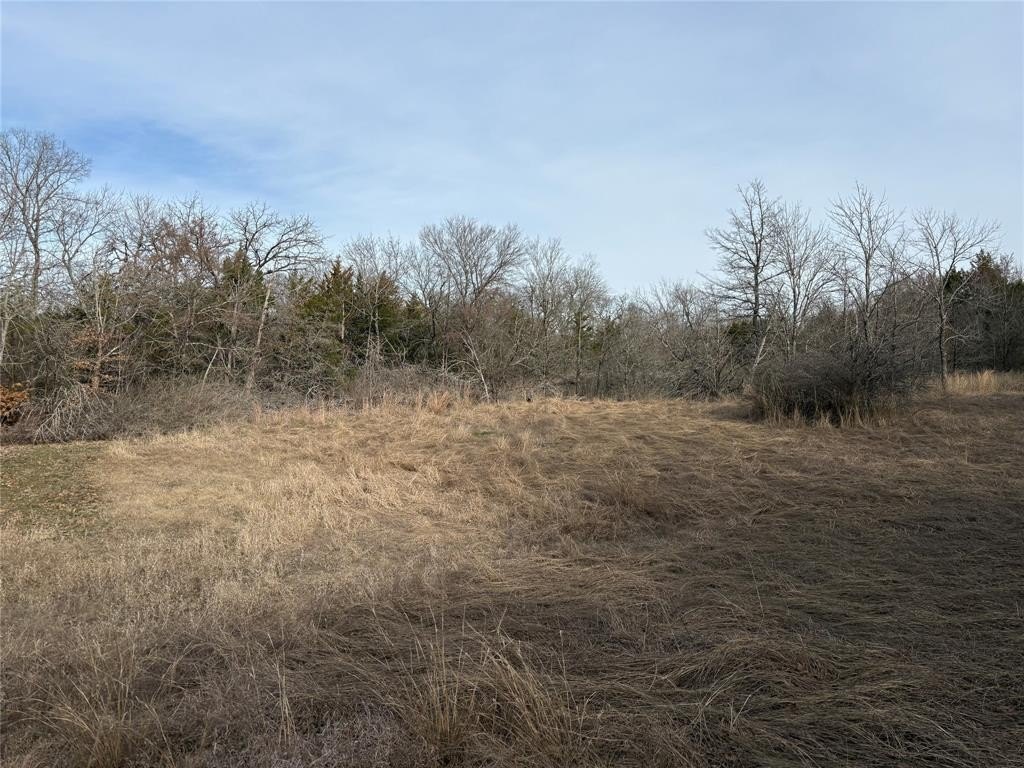 Other - Stribbling, Whitesboro, TX